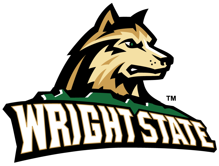 Wright State Raiders 2017-Pres Primary Logo diy DTF decal sticker